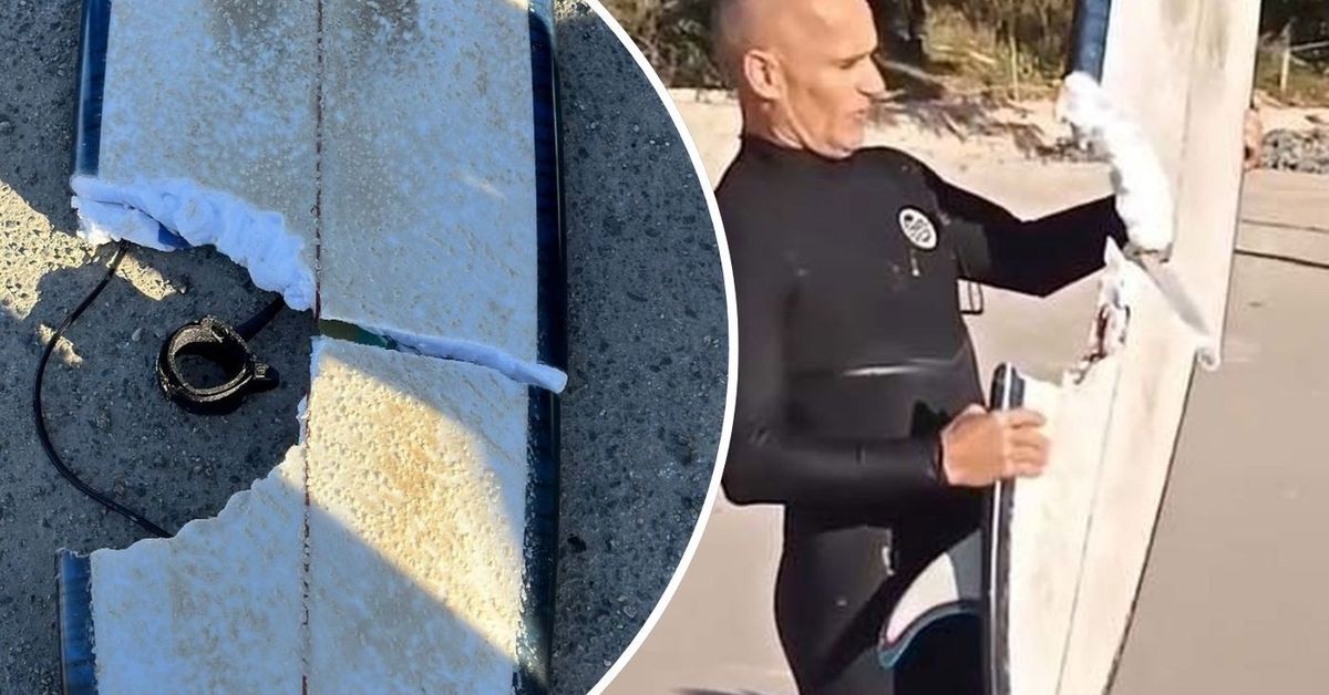'Universe had different plans': Surfer who escaped shark shares update