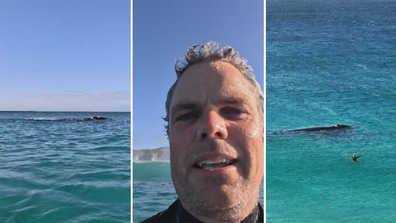 Brett Peake WA surfer whale close encounter.