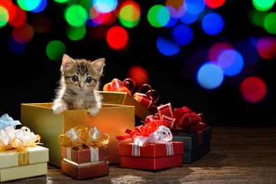 pets as gifts this christmas advice