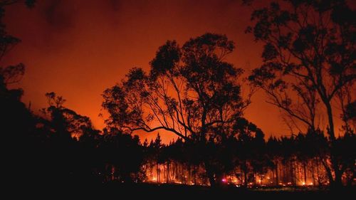 The plane was supporting the Queensland bushfire response by conducting line scans.