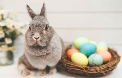 Easter Bunny alongside basket of eggs