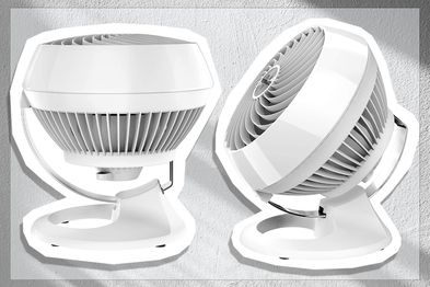 9PR: Vornado Air Circulator 460 Small Air Circulator