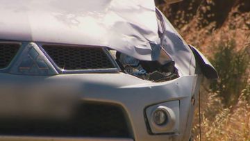 A cyclist has died after colliding with a Mitsubishi ute near the South Australian town of Port Pirie.
