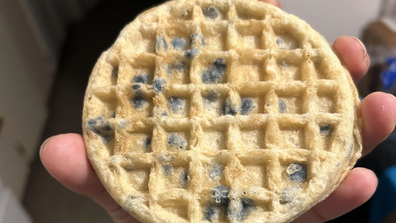 Viral "Blueberry" muffin