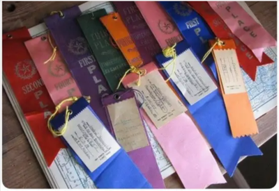 Sports Day ribbons 