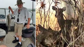 Thomas Alexander hunter killed after shooting deer in Arkansas US 1