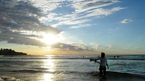 Morning Sydney temperatures hit 36C as city stays on track for warmest January on record