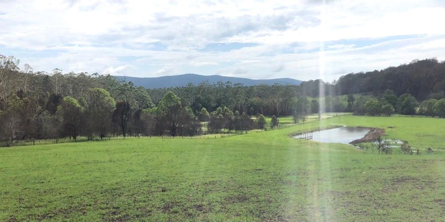 Russell Crowe posted this photo of his NSW property, near Coffs Harbour, after heavy rain fell over the weekend, 10 weeks after his estate was hit hard by wildfires.