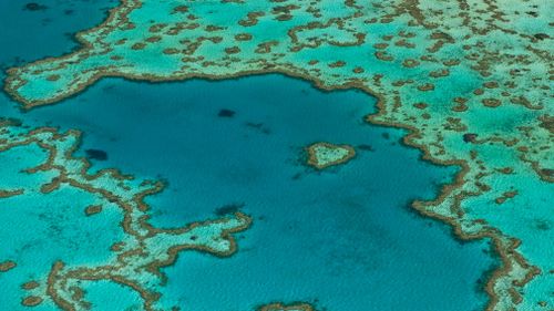 An aerial view of Hardy Reef, home to the Heart Reef, in the Great Barrier Reef. (Image: AAP)