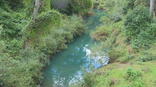 Blue Toongabbie creek