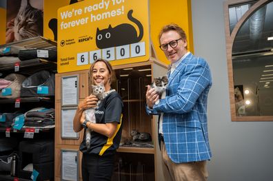Petbarn Foundation Manager Janelle Bloxsom and RSPCA New South Wales CEO Steve Coleman with two adoptable kittens.
