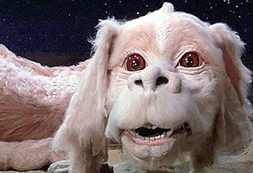 Why type of dragon was Falkor in The NeverEnding Story?