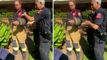 The snake wound its way around the arm of one firefighter.