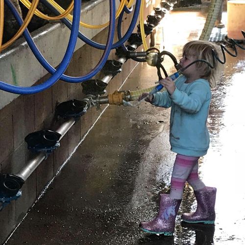 The cows still produce milk, but because the couple can’t access the feed to keep them in top condition, production has almost halved - along with their income.