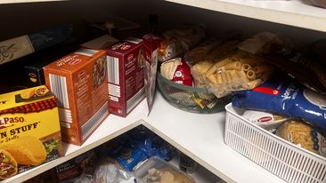 weevils infestation in pantry how to clean