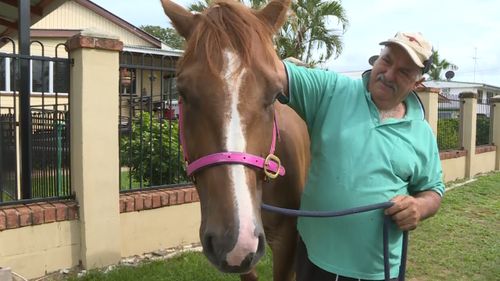 The horse has since been reunited with its owners, who returned early from holidays. (9NEWS)