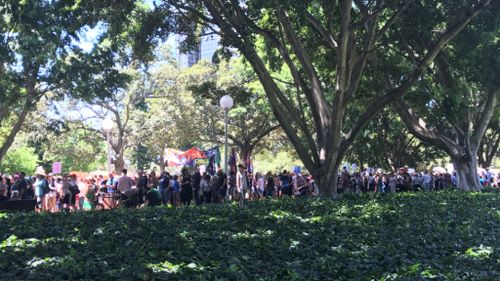 Marchers gathered at Sydney's verdant Hyde Park. (Mary Jordan, 9NEWS) 