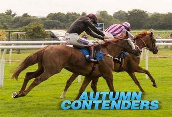 Autumn Contenders