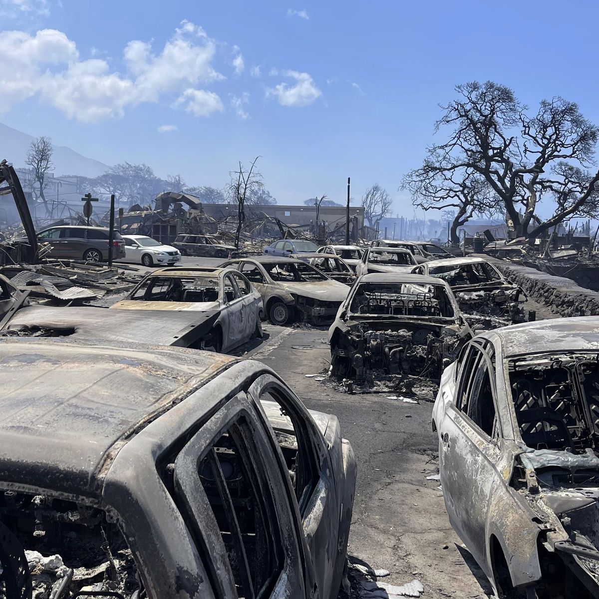 Hawaii fires: Maui death toll predicted to reach triple digits after  horrific fires