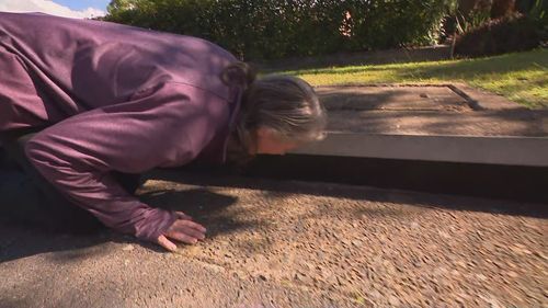 Marni Zavaleta's cat is stuck in a drain in the Blue Mountains and her friend came to help.