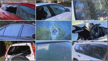 More than a dozens cars were targeted in the attack.