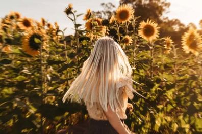 Pick your own sunflowers at Atkins Farm in Adelaide.