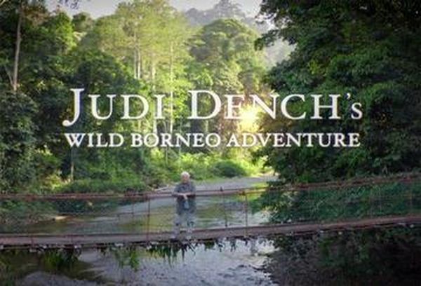 Judi Dench's Wild Borneo Adventure