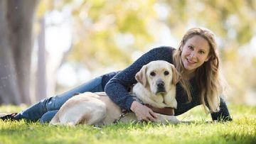 Guide dog attacked in Sydney by two unleashed canines 
