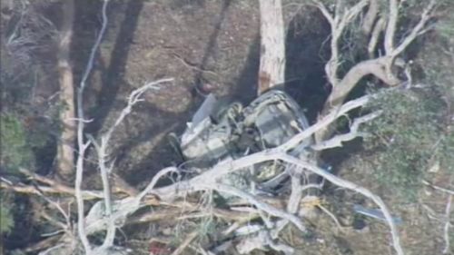 The car smashed into a tree just off the Northern Highway. (9NEWS)