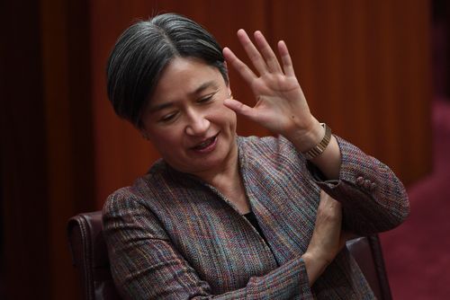 Penny Wong in the Senator yesterday. (AAP)