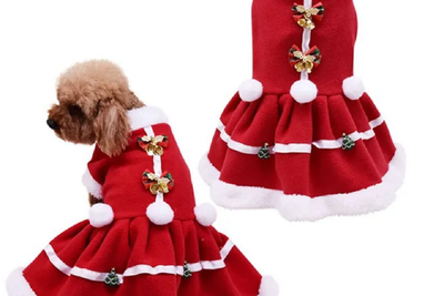 Christmas dress for dogs