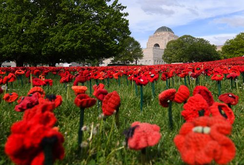 Sixty-two thousand hand-made poppies cover the gardens at the Australian War Memorial marking the Armistice Centenary later this month.