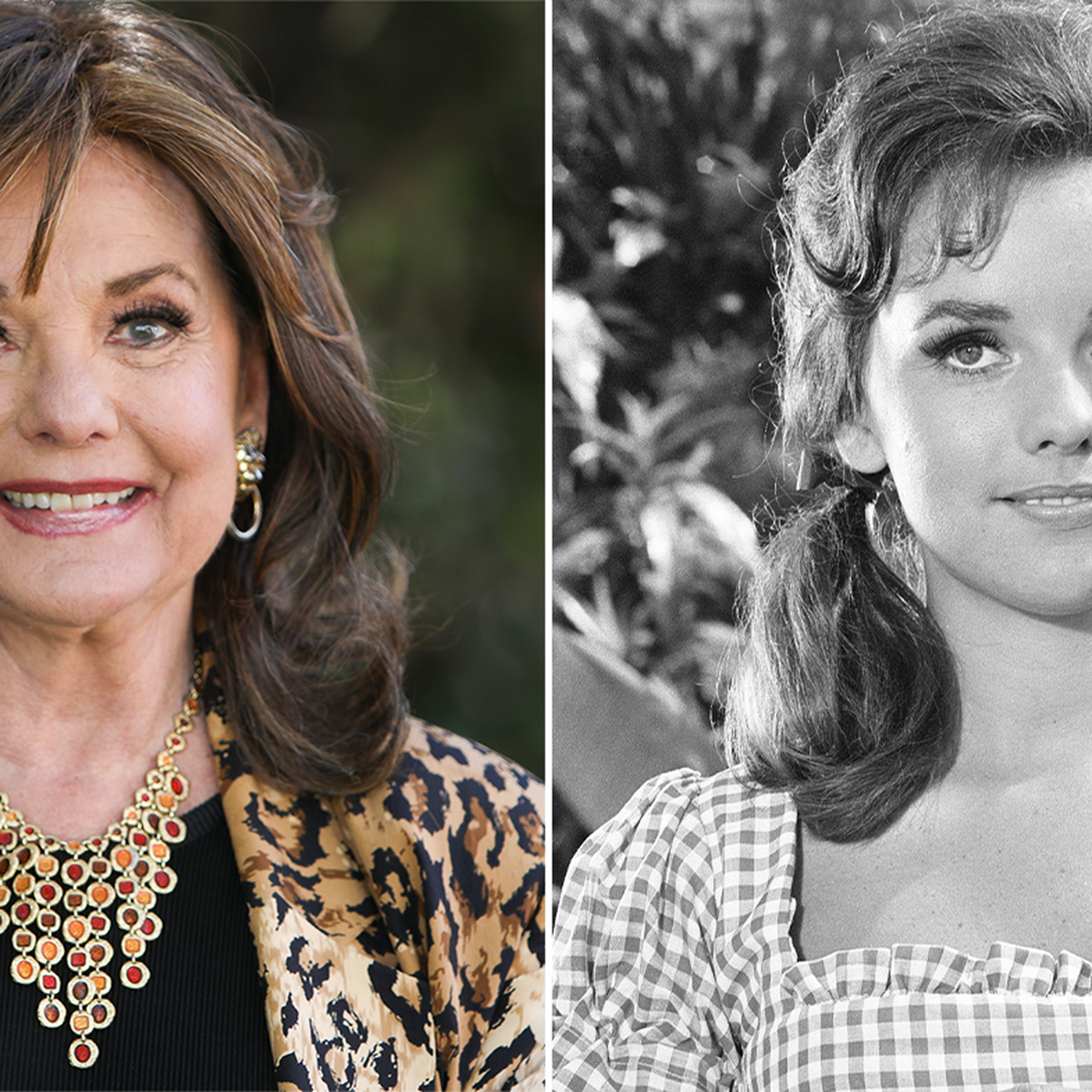 Gilligan's Island' star Dawn Wells, who played Mary Ann, dies of COVID at  age 82 – Sun Sentinel