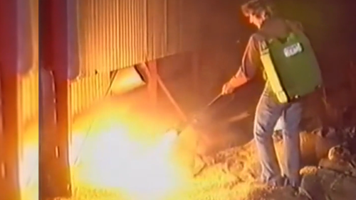 In un’epidemia simile negli anni ’80, gli agricoltori ricorsero all’uso di lanciafiamme per affrontare la peste.