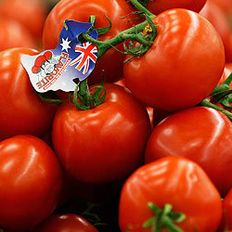 Flavorite tomatoes in Australian supermarket (Getty)