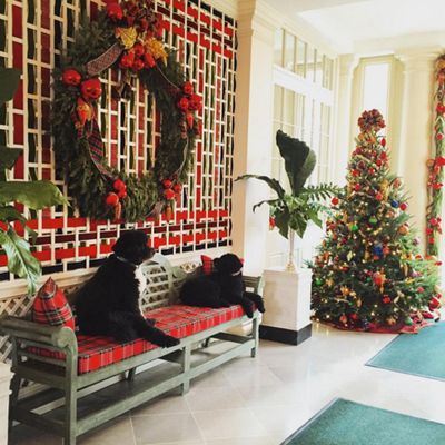 According to FLOTUS' Instagram, "volunteers spend several busy days transforming the [White House] for the holidays." Serious office decoration swag.