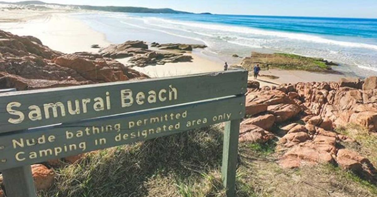 Cum On Nude Beach Sex - Shark attack: Man mauled while swimming off NSW nudist beach