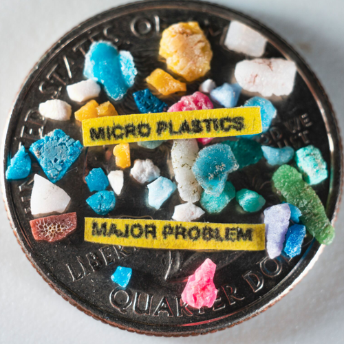 Sunlight, wind, waves and heat break plastic down into tiny fragments called microplastics. 