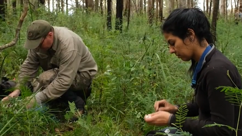 A wildlife recovery program was set up in the wake of the nation-wide bushfires.