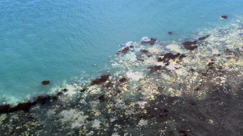 Scientists reviewed 911 reefs, only 68 were still in a good condition. (AAP)