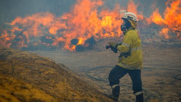 A firefighter stands with a hose as bushfire in Yanchep, Western Australia rages in the background.