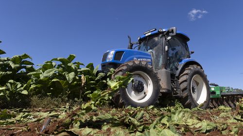 More than 16 tonnes of illegal tobacco was destroyed. 