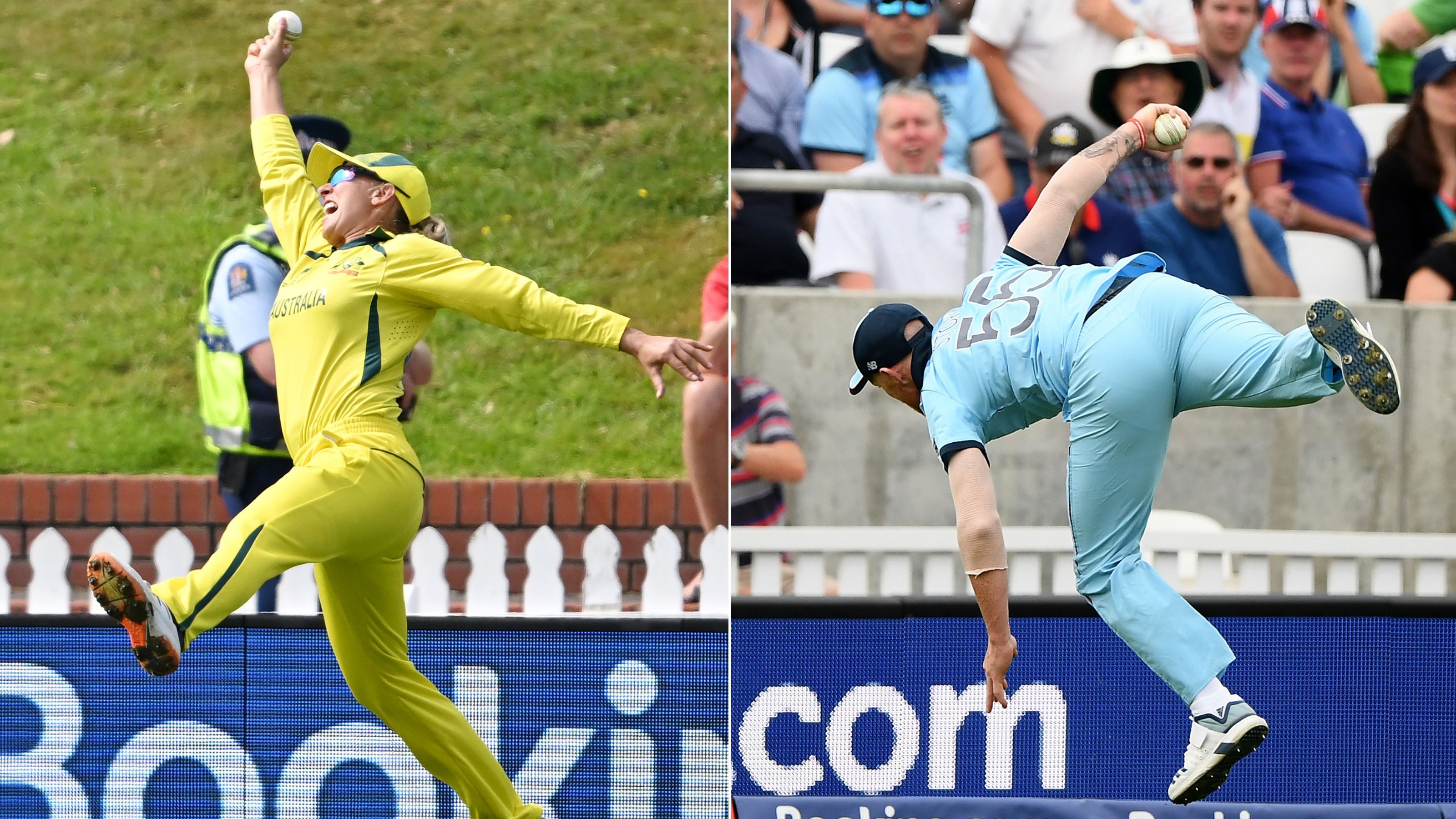 Cricket great compares Ash Gardner catch to iconic Ben Stokes screamer at World Cup