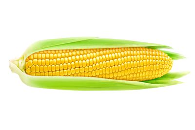 1 large ear of corn is
100 calories