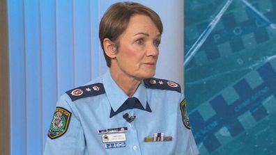 NSW Police Commissioner Karen Webb domestic violence DV