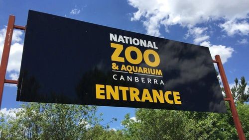 The National Zoo & Aquarium in Canberra