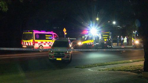 A man has died after a brawl at a house party in Ingleburn.