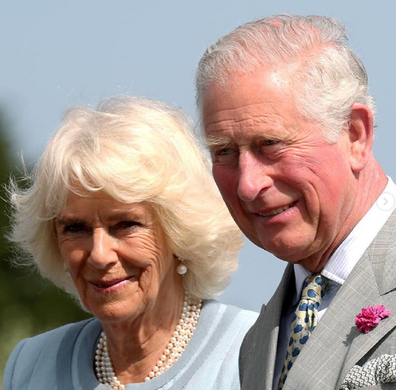 Prince Charles and Camilla working during the coronavirus crisis