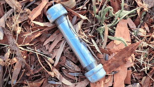 It is not known if any have been seen in other parts of Canberra.