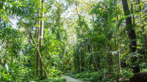 Darwin Botanical Gardens